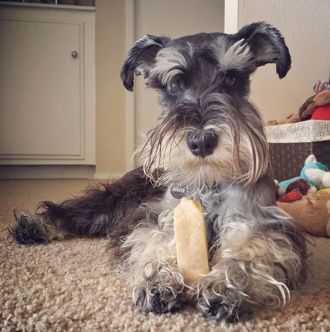 Peanut Butter Gold Yak Chews,