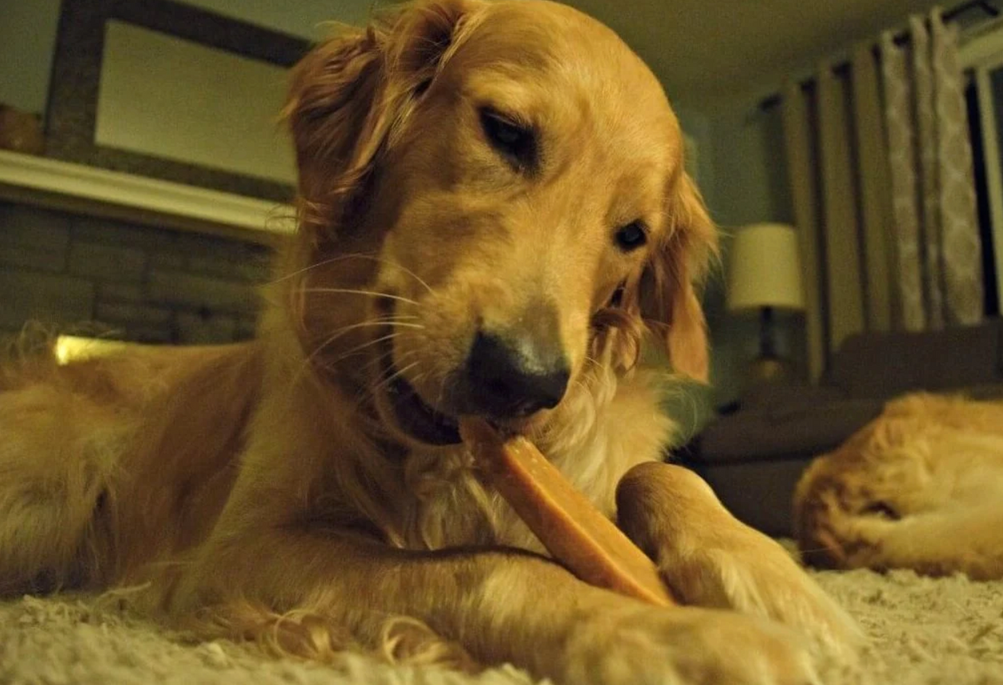 Peanut Butter Gold Yak Chews,