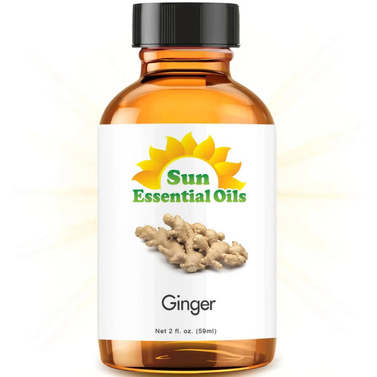 Ginger Essential Oil (Huge 2Oz Bottle) Bulk Ginger Oil - 2 Ounce